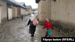 Оштогу лөлүлөрдүн кыштагы