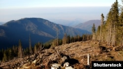 Ağaclar torpaq sürüşməsinin, su qıtlığının da qarşısını alır.