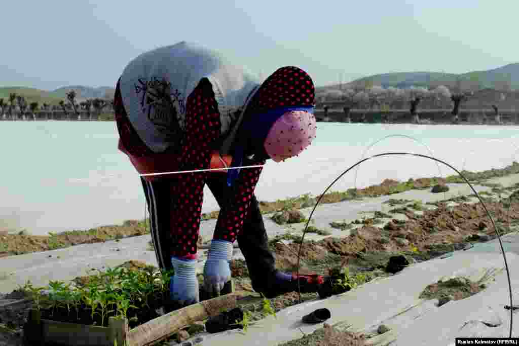 Женщины копают землю, готовят стойки для мини-теплиц и разбивают грядки для рассады. &nbsp;