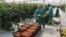 Armenia - Workers at a commercial greenhouse in Ararat province, 19Apr2017.