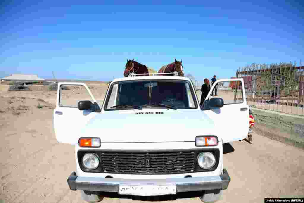 Жители Атакоргана собрались на кокпар в соседний населенный пункт Байкорган.&nbsp;Конечно же, захватив лучших скаковых лошадей.&nbsp;