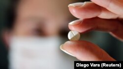 Иллюстрация фотосы