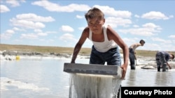 Тасманын каарманы. 