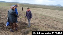 Разметка земельных участков в массиве Кен-Сай, 2012 г.