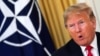 «Европа обеспокоена». Новые заявления США и будущее НАТО 