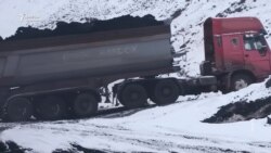 "Кара алтындын" баасы канча? 