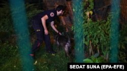 Стамбулдагы Сауд Арабиясынын резиденциясында тинтүү жүргүзүп жаткан полиция кызматкери. 18-октябрь, 2018-жыл. 