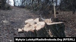 Иллюстративное фото.