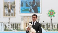 Türkmen "tagt mirasdüşeri", metan zyňyndylary hem-de halkara howa konferensiýasy