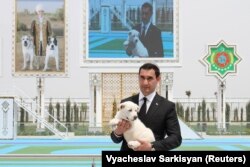 بردی‌محمداف جوان یک سگ نژاد آلابای را در مراسم روز ملی اسب و سگ آلابای در ترکمنستان در ۲۵ آوریل ۲۰۲۱ در دست دارد