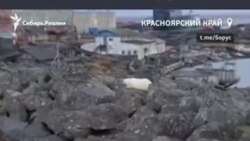 Белого медвежонка, найденного в Диксоне, решили оставить в природе