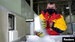 Жүк ташуучу DHL компаниясынын кызматкери вакциналарды муздак шартта ташуучу атайын идишке муз салууда. Чикаго, Иллинойс, АКШ. 2020-жылдын 18-ноябры.