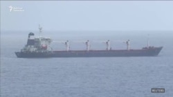 Украина: дан жүктөгөн алгачкы кеме Түркияга жетти 