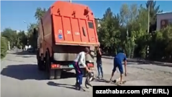 Türkmenabatda Jemagat hojalygy müdirliginiň işgärleriniň köçelerdäki öýsüz itleri zäherläp, gynap tutýan pursady. Arhiw suraty