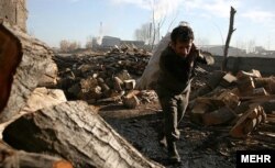 دلایل گوناگونی در روند تخریب جنگل‌های زاگرسی دخیل عنوان شده‌اند؛ از جمله بهره‌برداری فزاینده از چوب درخت بلوط