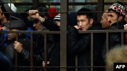 Орусиядагы мигранттар