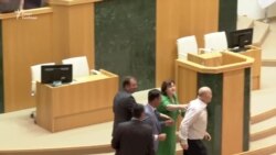 Сергій Гаврилов у парламенті Грузії