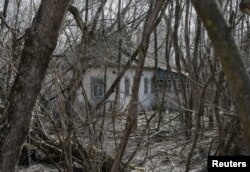 Залісся, березень 2016 року