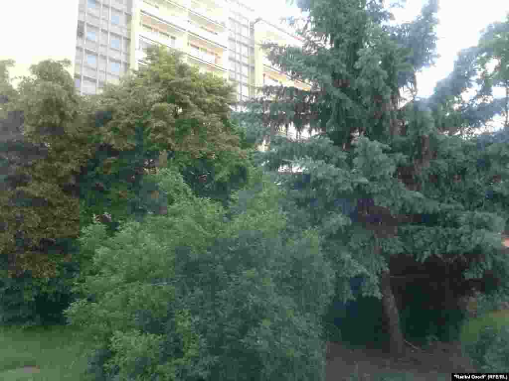 Саҳнаи сарсабзи кӯчаи тоҷикии Прага