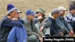 Мигранты, работающие на сельскохозяйственных угодиях в Волгоградской области. Архивное фото.