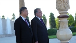 Tajikistan -- Chinese President Xi Jinping and Tajik President Emomali Rahmon, Dushanbe, 15Jun2019