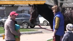Дітей переселенців та загиблих в АТО військових підтримують іпотерапією