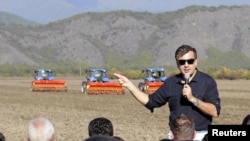 Грузинские власти считают, что опыт буров, которые на своих фермах используют новейшие технологии и даже имеют собственные маленькие лаборатории, очень пригодится стране