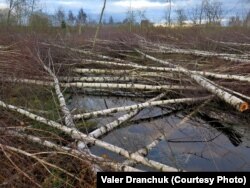 Празь месяц, 11 лістапада 2017. Аўтарская хроніка