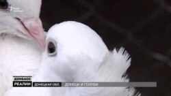 Хто і як заробляє на пташиному ринку окупованого Донецька?