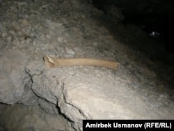 Сарт-Ыстаган үңкүрүндөгү эски забойлордун биринен табылган адам сөөгү. 20-июль, 2011