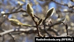 З 28 лютого середньодобова температура повітря стабільно перевищує 0°С