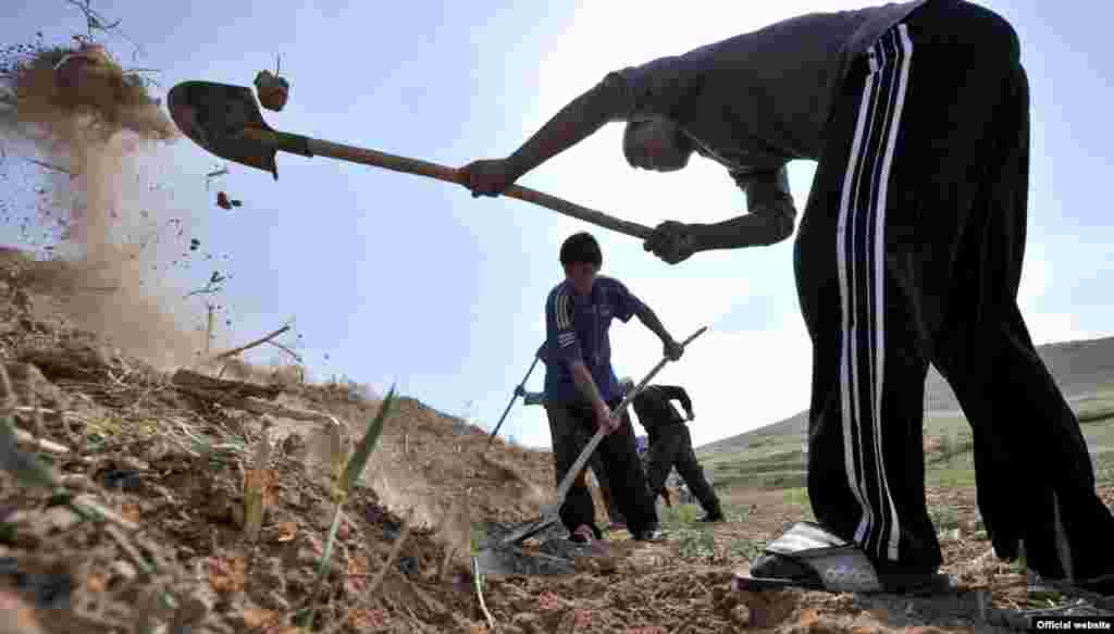 Частые стихийные бедствия - одна из основных причин низкого уровня продовольственной безопасности в Кыргызстане