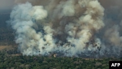 تازه‌ترين آمارهای دولتی نشان می‌دهد که روزهای يکشنبه و دوشنبه حدود هزار و ۶۰۰ آتش‌سوزی جديد در برزيل روی داده است.