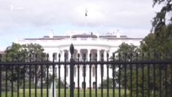 Украинага босқин: 1111-кун | Саудия Арабистони Зеленскийни кутмоқда, Оқ Уй олдида отишма 