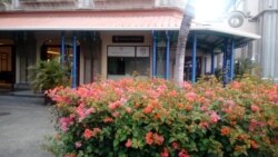 Маврикий башкаласы ал чәчәкле куакларга күмелгән