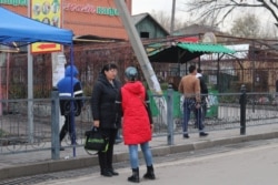 Бахаргүл Касым (кара күрмөчөн).