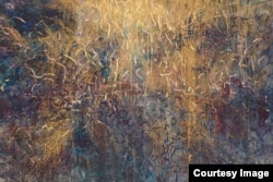 Маша Шмидт. Aurea Pluvia