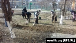 Школьные учителя в Андижане, отложив уроки, занимаются уборкой улиц к приезду Шавката Мирзияева в Андижанскую область, 6 апреля 2018 года.