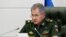 Russian Defense Minister Sergei Shoigu (file photo)