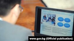 Иллюстрациялык сүрөт. 