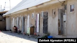 Бишкектеги конуштардын бири.