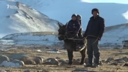 Тоо коюнундагы топуктуу үй-бүлөнүн тилеги