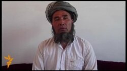 "Buýan ýygmaga çykypdym"