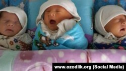 Новорожденные.