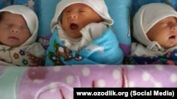 Новорожденные.