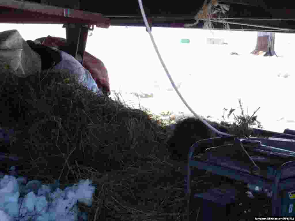 17- июнда түнү менен жааган кардын калыңдыгы айрым жерлерде 70 см. ге&nbsp;чейин жеткен.&nbsp;