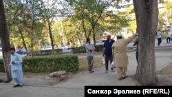 Сүрөттүн жаңылыкка тиешеси жок. 