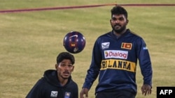 د سري لنکا لوبغاړي د تمرين په حال کې - انځور له ارشيفه 