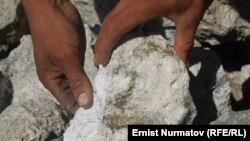 Иллюстрациялык сүрөт.