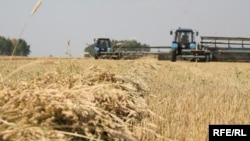 Уборка урожая в Казахстане
